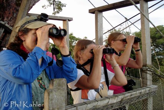 Heliconia & Canopy walkway  5 days 4 nights